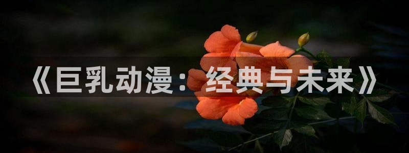 78动漫91：《巨乳动漫：经典与未来》